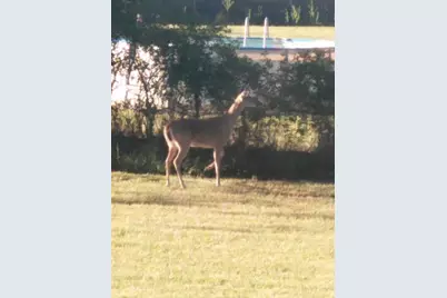 10970 County Road 4020, Kemp, TX 75143 - Photo 27