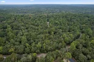 177 Woodfern Glen, Holly Lake Ranch, TX 75765 - Photo 29