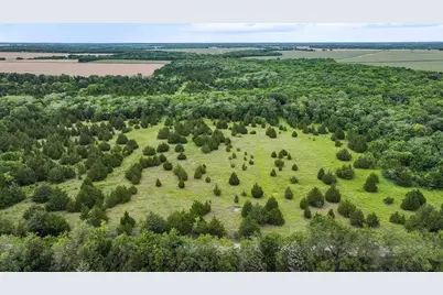 6540 County Road 4813, Commerce, TX 75449 - Photo 15