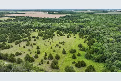 6540 County Road 4813, Commerce, TX 75449 - Photo 9