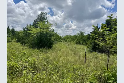 6540 County Road 4813, Commerce, TX 75449 - Photo 7