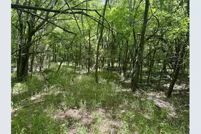 6540 County Road 4813, Commerce, TX 75449 - Photo 13
