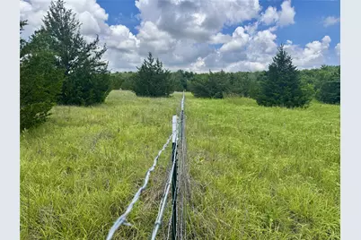 6540 County Road 4813, Commerce, TX 75449 - Photo 3