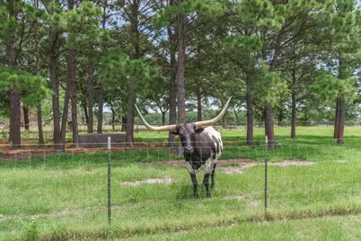 132 Private Road 7105, Edgewood, TX 75117 - Photo 5