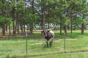 132 Private Rd 7105, Edgewood, TX 75117 - Photo 7
