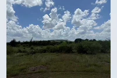 1393 Indigo Bush Court, Possum Kingdom Lake, TX 76449 - Photo 7