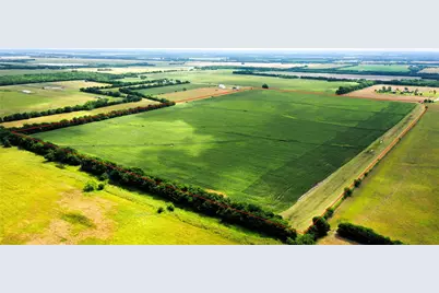 Tbd Fm Hwy 272, Leonard, TX 75452 - Photo 5
