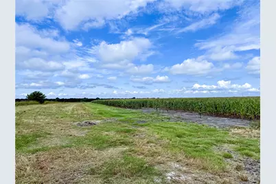 Tbd Fm Hwy 272, Leonard, TX 75452 - Photo 13
