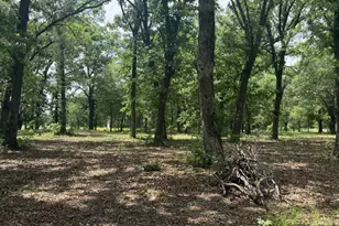 276 Fm 71, Mt Pleasant, TX 75455 - Photo 31