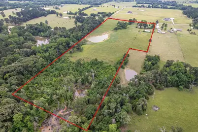 881 Vz County Road 4605, Ben Wheeler, TX 75754 - Photo 3