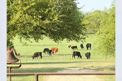 660 Fm 203, Walnut Springs, TX 76690 - Photo 1