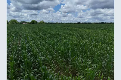 150001 Fm 198, Enloe, TX 75441 - Photo 3