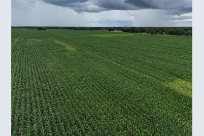150001 Fm 198, Enloe, TX 75441 - Photo 9