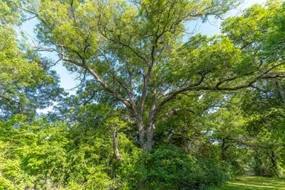 400 W Oak Street, Mansfield, TX 76063 - Photo 11
