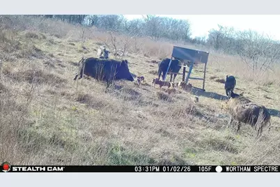 168+/- Acres Sh-14, Wortham, TX 76681 - Photo 37