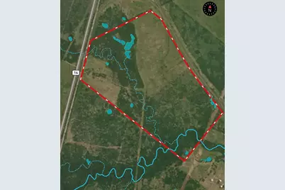168+/- Acres Sh-14, Wortham, TX 76681 - Photo 7