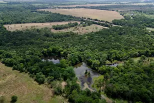168+/- Acres Sh-14, Wortham, TX 76681 - Photo 1