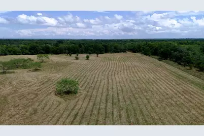 168+/- Acres Sh-14, Wortham, TX 76681 - Photo 33