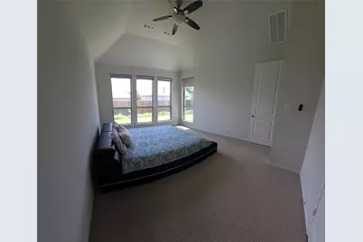 1629 White Snowberry Lane, Celina, TX 75078 - Photo 25