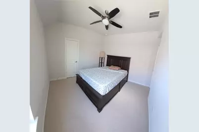 1629 White Snowberry Lane, Celina, TX 75078 - Photo 11