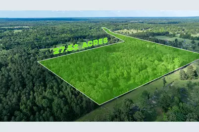 22924 County Road 223, Arp, TX 75750 - Photo 3