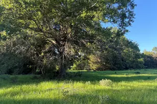 289 Fcr 261, Oakwood, TX 75855 - Photo 1