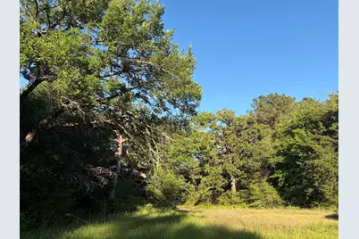289 Fcr 261, Oakwood, TX 75855 - Photo 5