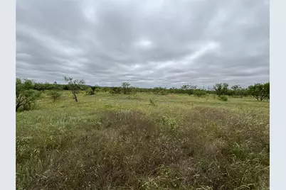 202 County Road 312, Winters, TX 79567 - Photo 7