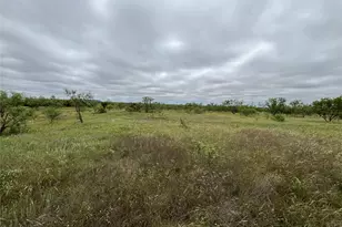202 Co Rd 312, Winters, TX 79567 - Photo 7