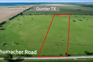 795 Schumacher, Gunter, TX 75058 - Photo 1