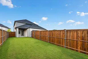 1133 Beebalm Mews, Celina, TX 75009 - Photo 29