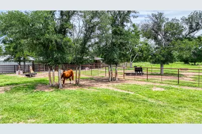 1060 Young Bend Road, Brock, TX 76087 - Photo 39
