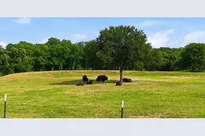 579 County Road 4599, Boyd, TX 76023 - Photo 3