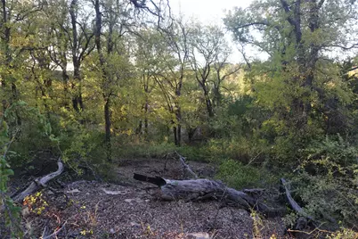 Lot 521 Canyon Wren, Possum Kingdom Lake, TX 76449 - Photo 13