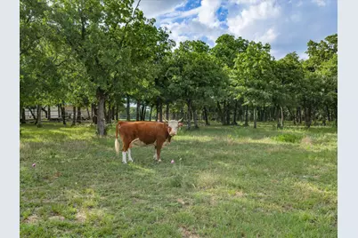 210 County Road 2696, Alvord, TX 76225 - Photo 31