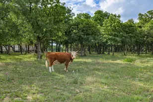 210 Co Rd 2696, Alvord, TX 76225 - Photo 27