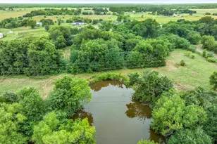 540 Vz County Road 3724, Wills Point, TX 75169 - Photo 39