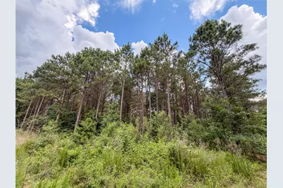 Tbd Cr 4510, Pittsburg, TX 75686 - Photo 23