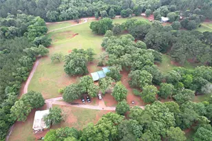 440 Vz County Road 4814, Ben Wheeler, TX 75754 - Photo 3