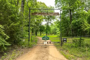 251 Private Rd 8179, Ben Wheeler, TX 75754 - Photo 3