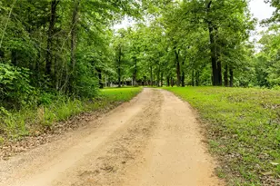 251 Private Rd 8179, Ben Wheeler, TX 75754 - Photo 5