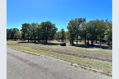 332 Sugartree Circle, Lipan, TX 76462 - Photo 11