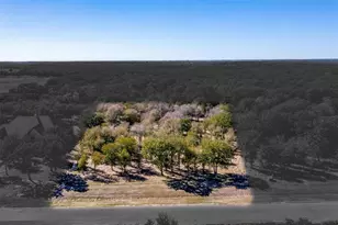 332 Sugartree Cir, Lipan, TX 76462 - Photo 1