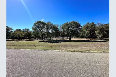 332 Sugartree Circle, Lipan, TX 76462 - Photo 9