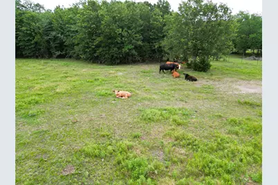 30.213Ac County Road 4766, Sulphur Springs, TX 75482 - Photo 9