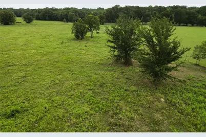 30.213Ac County Road 4766, Sulphur Springs, TX 75482 - Photo 3