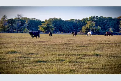 8752 Fm 1749, Sunset, TX 76270 - Photo 37
