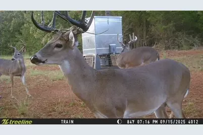 16092 County Road 440, Lindale, TX 75771 - Photo 3