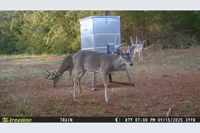 16092 County Road 440, Lindale, TX 75771 - Photo 29