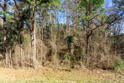 Tbd E Loop 564, Mineola, TX 75773 - Photo 9